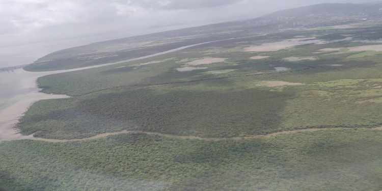 NatConnect Foundation